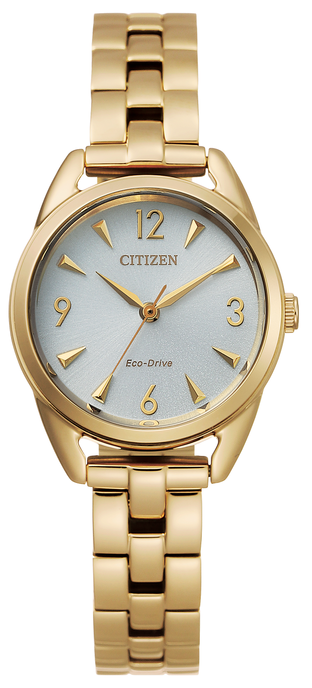 Citizen Gold Tone Weekender Watch