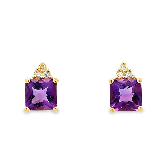 10 Karat Yellow Gold Amethyst Earrings